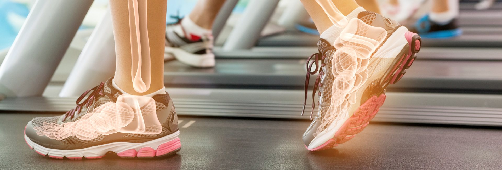Lafayette Podiatry Associates